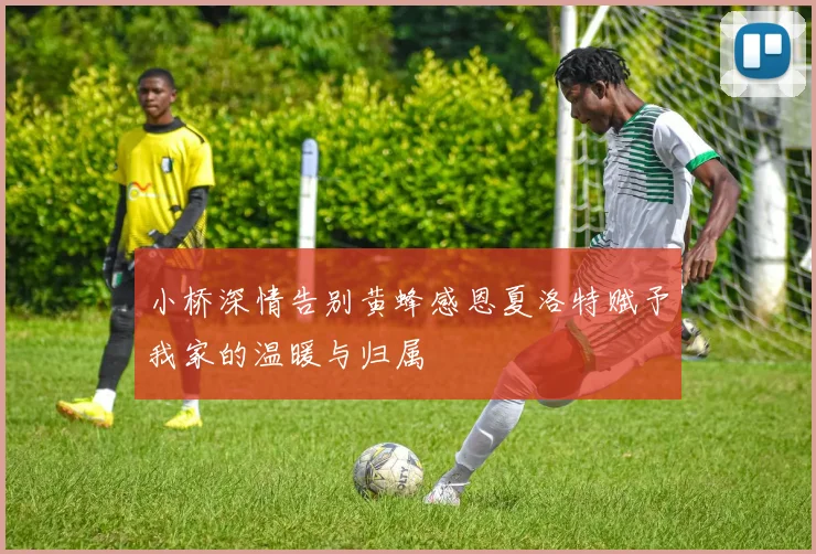 小桥深情告别黄蜂感恩夏洛特赋予我家的温暖与归属
