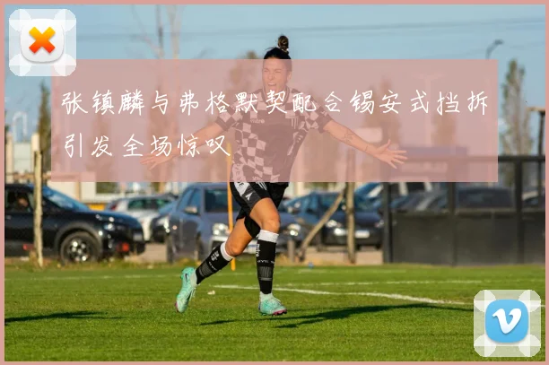 张镇麟与弗格默契配合锡安式挡拆引发全场惊叹